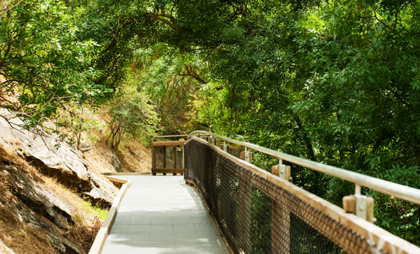 Suburb Profile: Clovelly Park, SA 5042