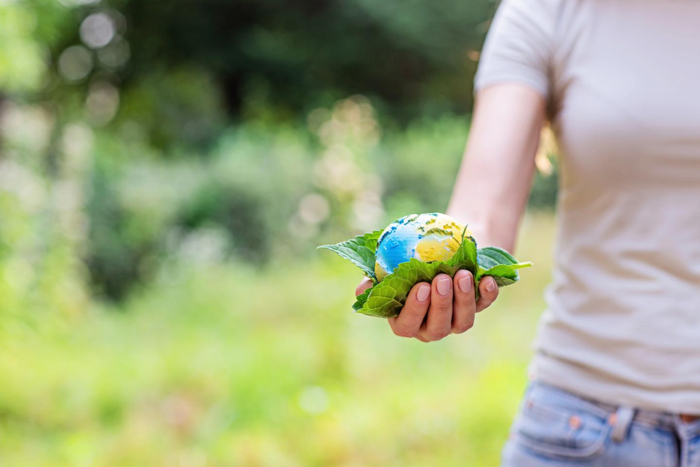 Eco-Friendly, Low-Impact Renovations: Building for a Greener Future