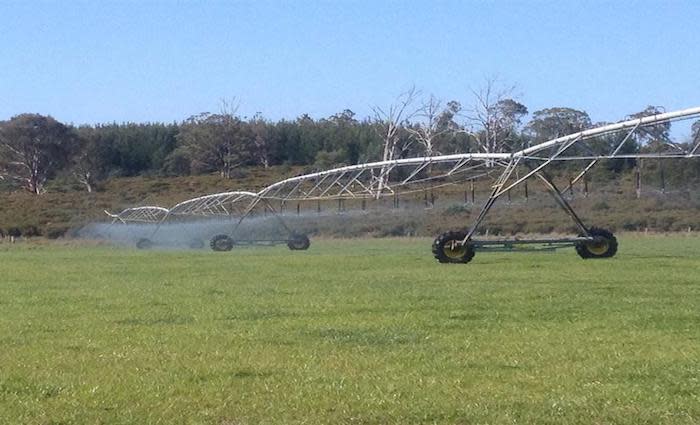Farms account for 27 percent of Tasmania's regional market sales