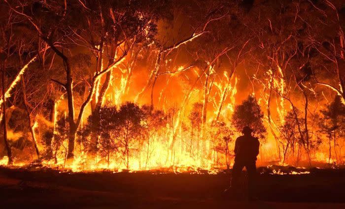 NSW land values dropped by up to 33 per cent after bushfires