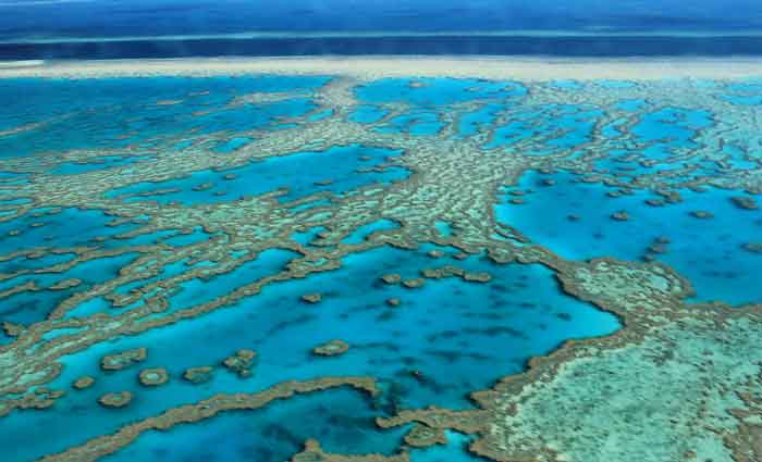 What's the economic value of the Great Barrier Reef? It's priceless