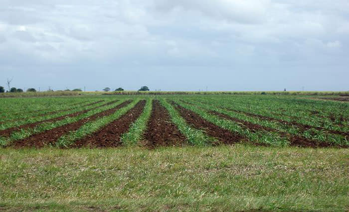 Why yet another visa for farm work makes no sense: Stephen Howes