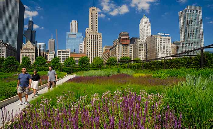 Green space – how much is enough, and what’s the best way to deliver it?