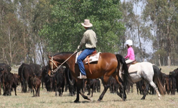 Doughboy Mountain sells to TA Field Estates