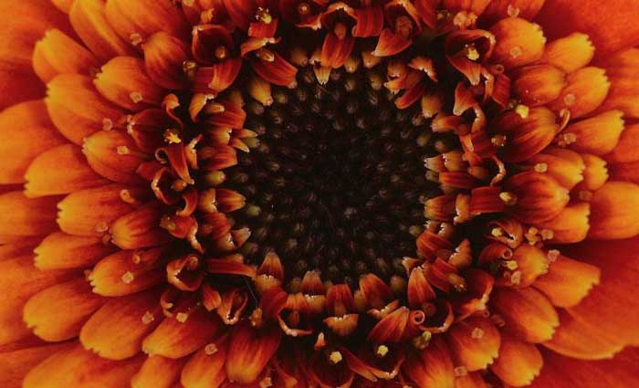 The Living Building Challenge seeking design entrants