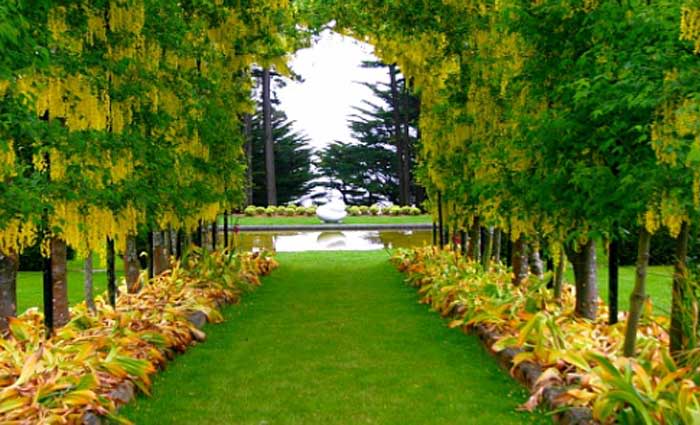 Vanishing Australian backyards leave us vulnerable to the stresses of city life