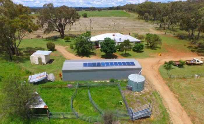Beef and lamb prices nourishing Northern Tablelands rural prices: NSW Valuer-General