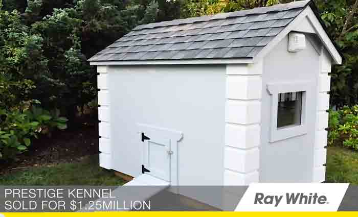 Ray White enters lucrative doggie real estate market with the sale of very first prestige poochy palace for $1.25 million