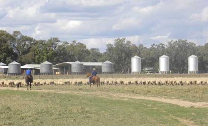 Hassad Food lists Raby Station