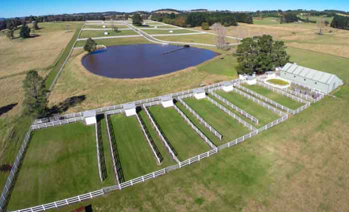 Pic-a-Pine Park in the Southern Highlands listed