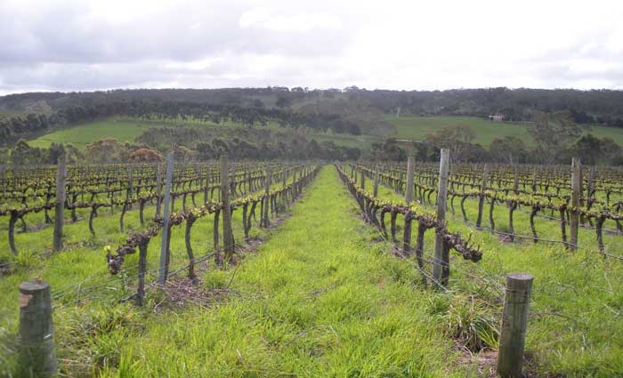 Offmarket rural FIRB sales banned by Treasurer Scott Morrison