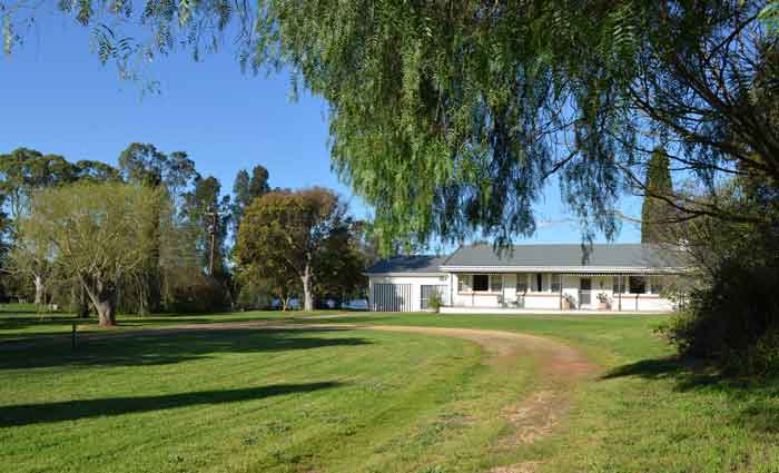 Premium South Australian vineyard on the market