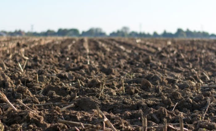 ‘Soil probiotics’ promise bigger, healthier crops, but there’s a downside