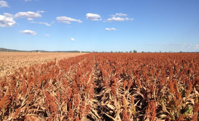 Glenbank on the Darling Downs sells for $2.52 million