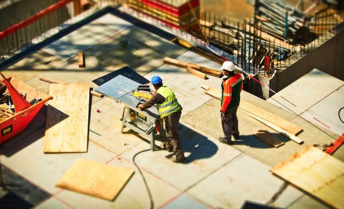 Koala stoush highlights planning policy with seriously unintended consequences