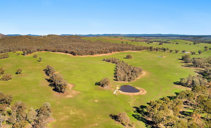 Echuca market exceeding vendor expectations: HTW
