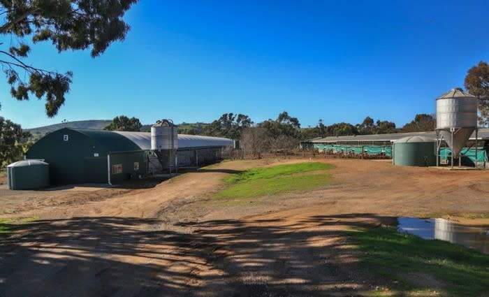 Free range Green Eggs agribusiness farm listed