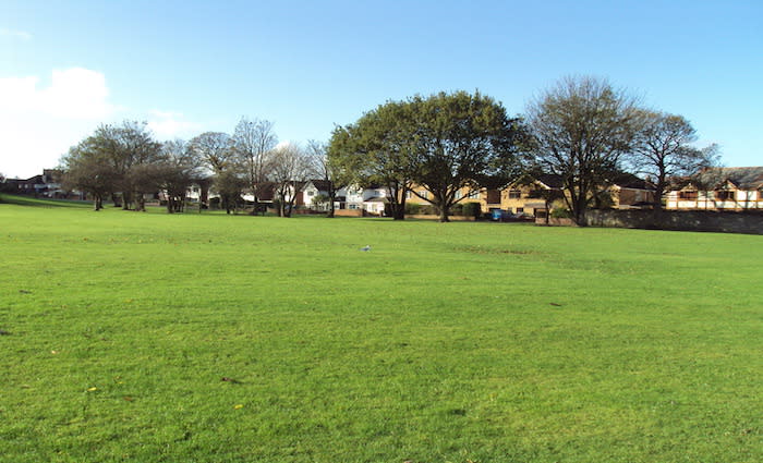 Greenspace-oriented development could make higher density attractive