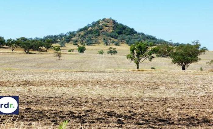 Land value for rural Northerland Tablelands properties increases by 11.4%: NSW Valuer-General