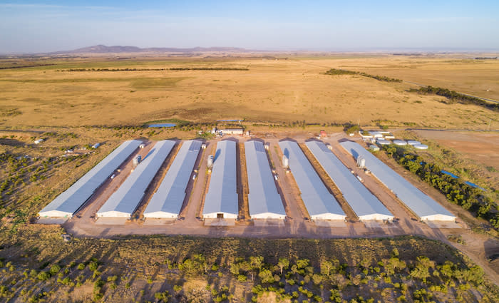 Little River poultry farm to be sold by administrators