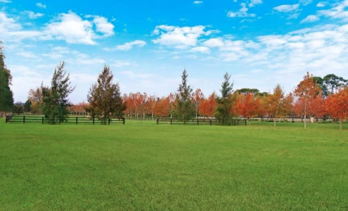 Polo offering in Richmond Lowlands sold by Peter Higgins