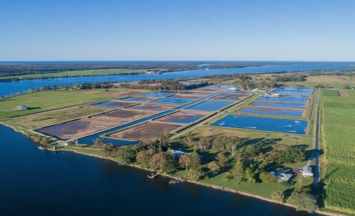 Australia's first prawn farm for sale in Northern NSW