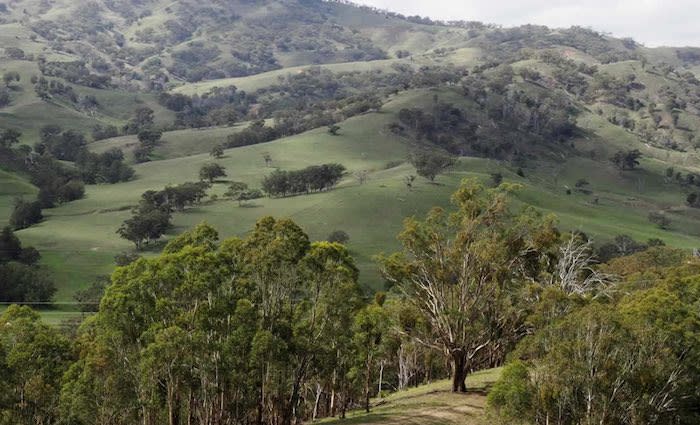 Malcolm and Lucy Turnbull's Scotts Creek farm passes in on vendor bid