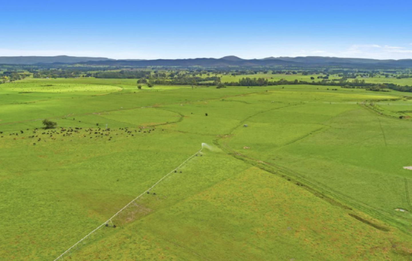 Rural Gippsland sees moderate growth: HTW Rural