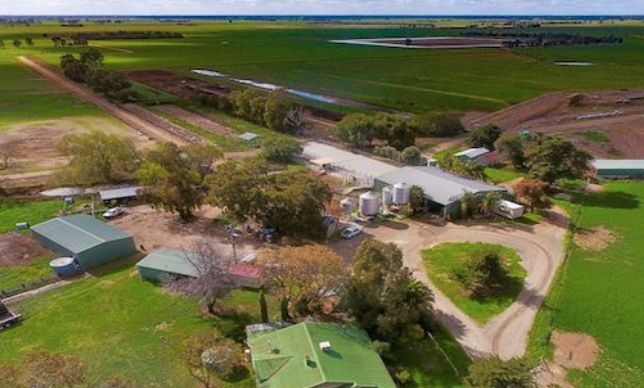 Rural values continue to rise in the Echuca and Deniliquin regions: HTW Rural