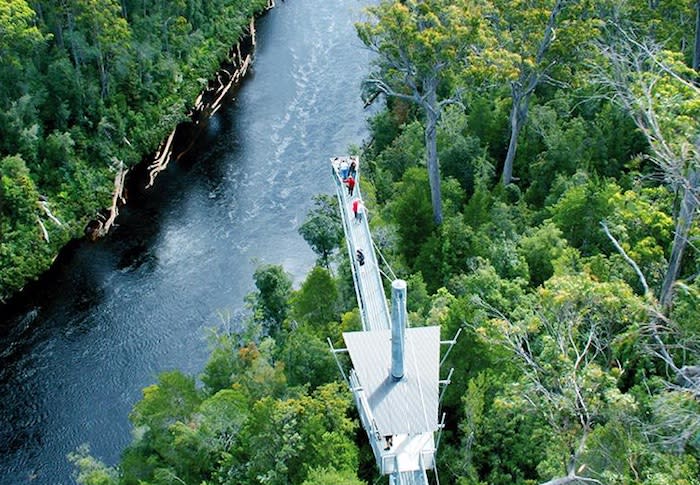 Tasmania tourist hotspot Tahune AirWalk changes hands