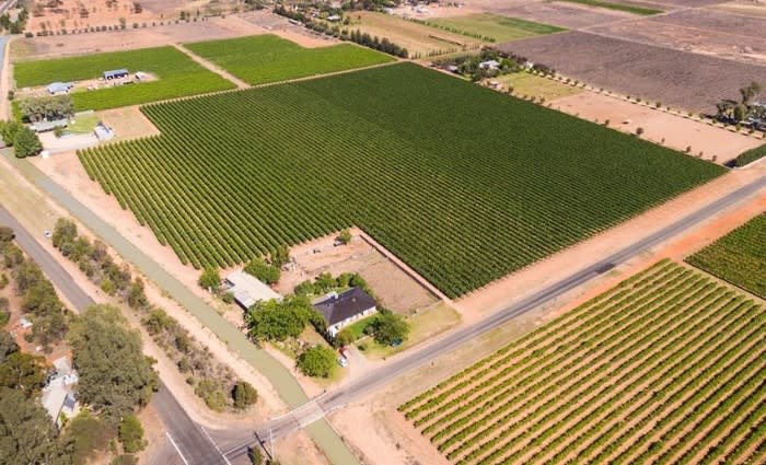 Four grape producing Mildura properties listed