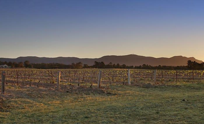 Greg Norman sets sights on new Aussie winery home