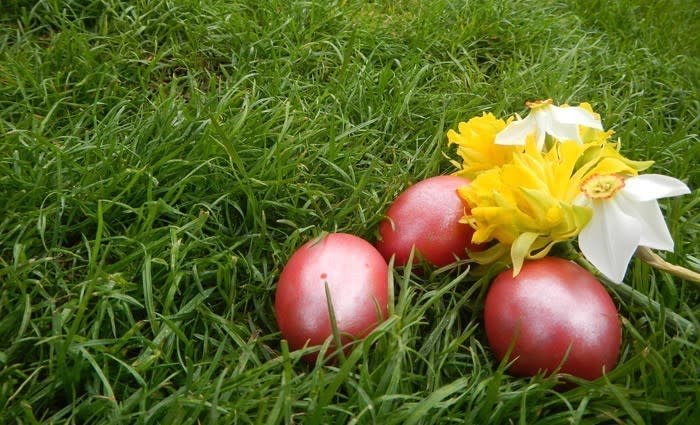 Four perfect properties for an Easter egg hunt