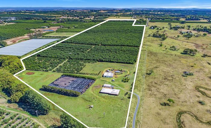 100-acre Alstonville Macadamia farm with homestead sold