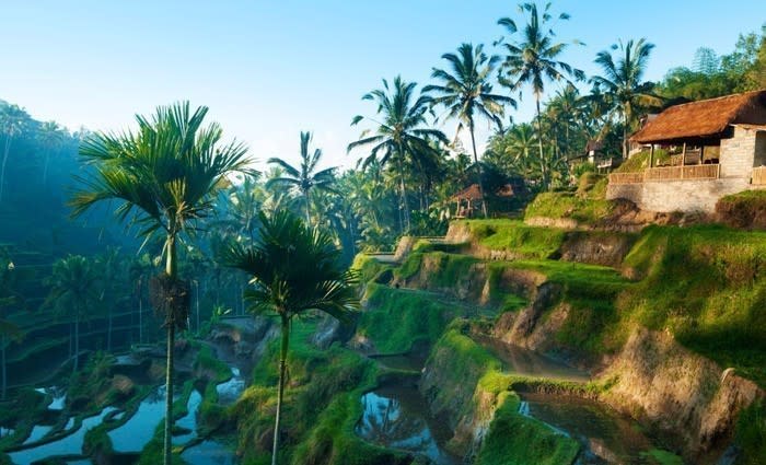 Bali… Bucolic Bliss or Beach Bellini? He Said/She Said