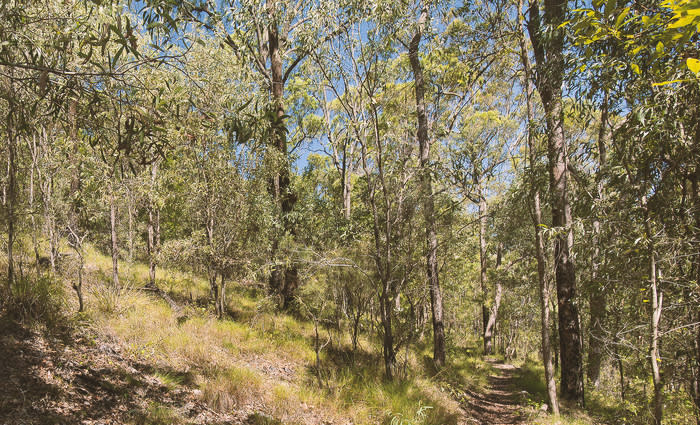 Rural property values rise in country NSW: HTW