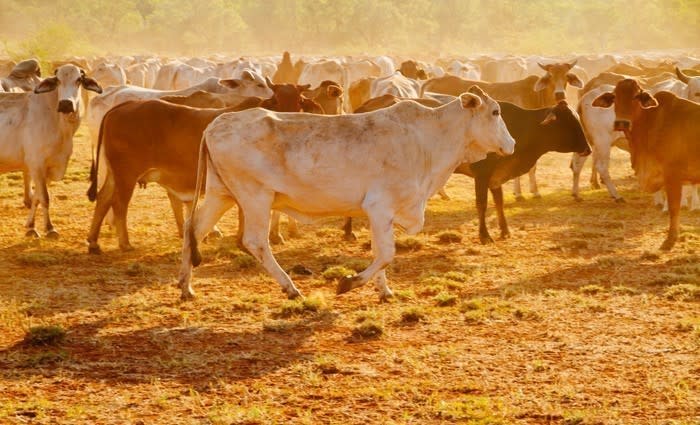 Gina Rinehart buys Warrabah Station in New England