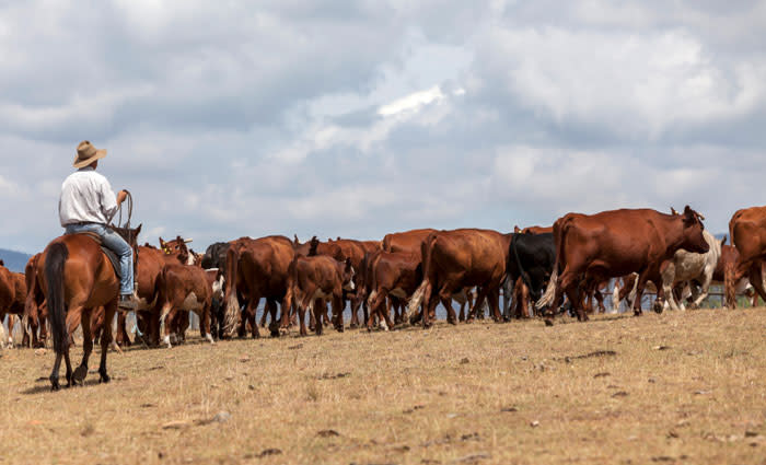 Kidman’s sale marks second wave of South Australian colonisation: Paul Reader