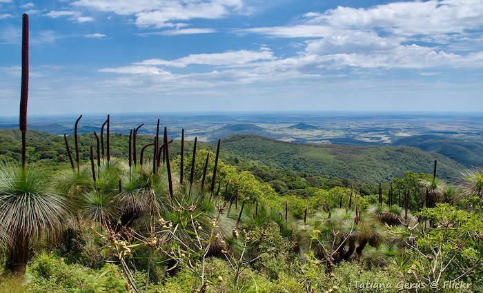 Darling Downs region marred by "anxious caution" but slowly gaining ground: HTW rural