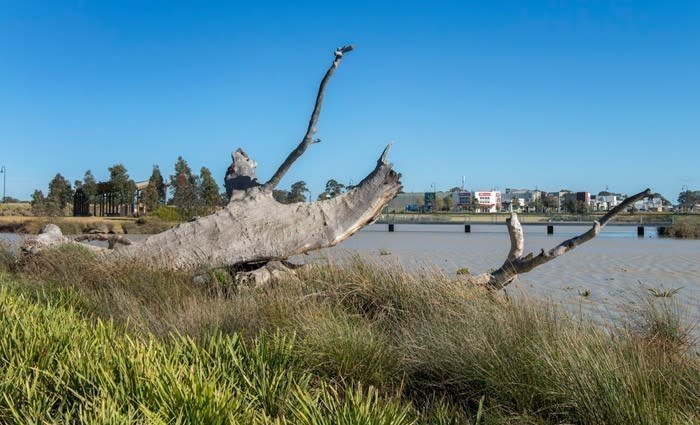 New release from Doreen masterplan development