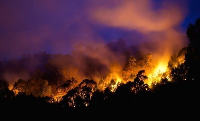 How to: Prepare your house for a natural disaster