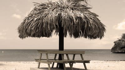 Agents look back on summers past with nostalgia for cheap beachfront property