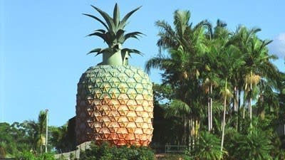 Big Pineapple buyers hope to add juice to Sunshine Coast tourism market