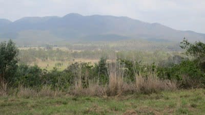 Gladstone effect pushes up Bororen land values almost 70%