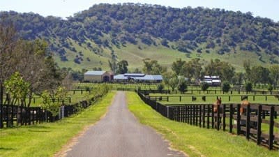Upper Hunter Valley's Brooklyn Lodge horse stud listed with $12.5 million expectations