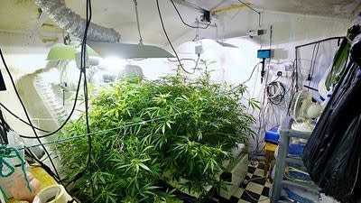 Drug labs: landlords exposed if tenants undertaking criminal activity