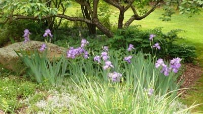 Southern Tablelands property with Edna Walling garden listed 