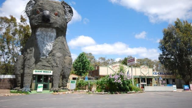 The Giant Koala Grampians tourist attraction let loose on eBay