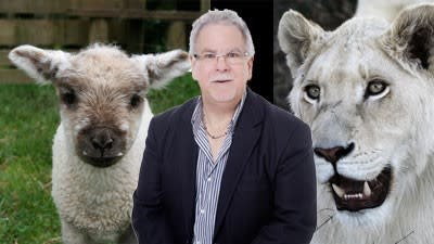 Be a lion, not a lamb, when investing in property