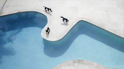 Tasmanian tigers keep watch over the Point Piper harbourfront mansion of the much-accused Ron Medich